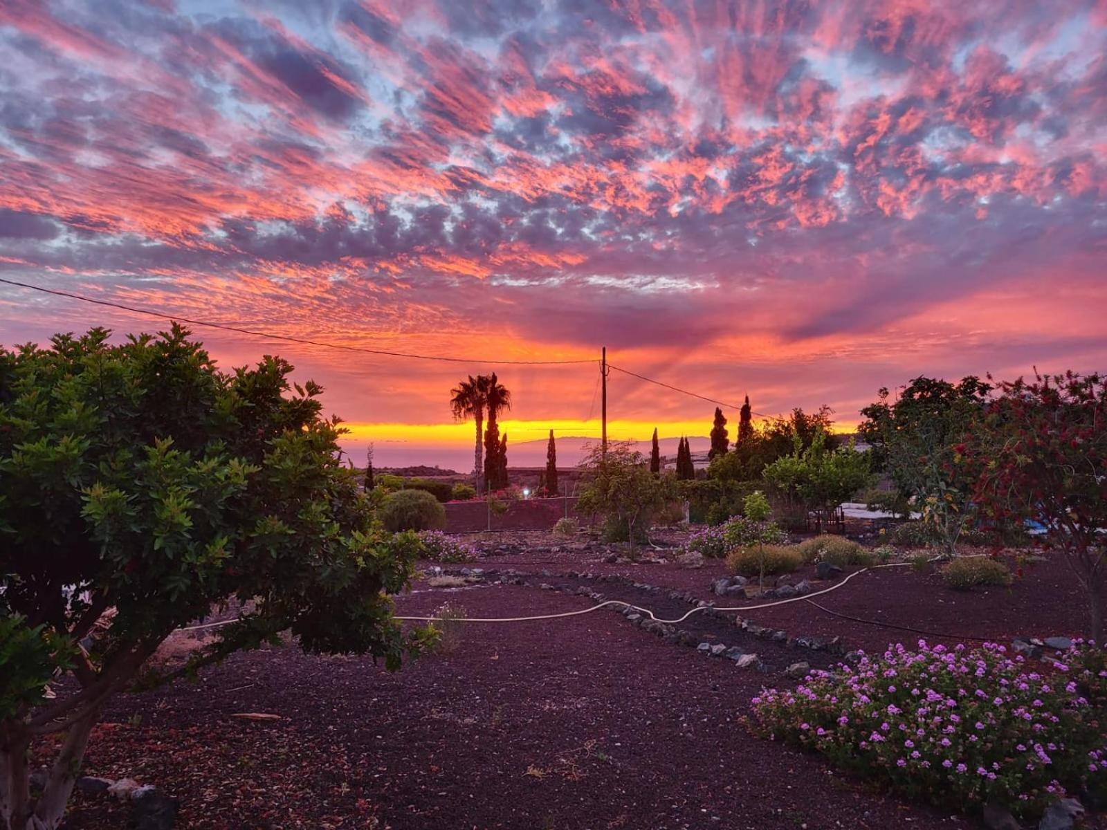 Finca Arcoiris Tenerife Vv Guía de Isora Zewnętrze zdjęcie