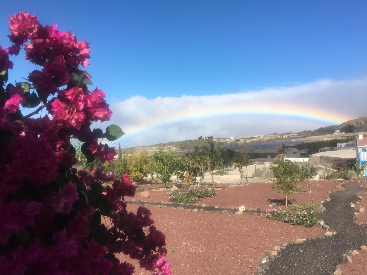 Finca Arcoiris Tenerife Vv Guía de Isora Zewnętrze zdjęcie